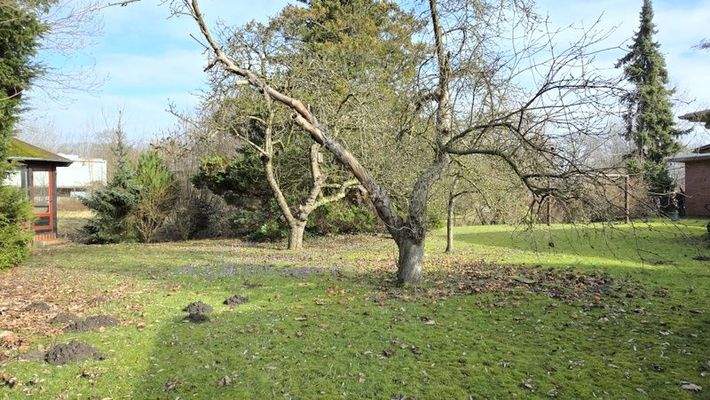 Herrliches Gartengrundstück