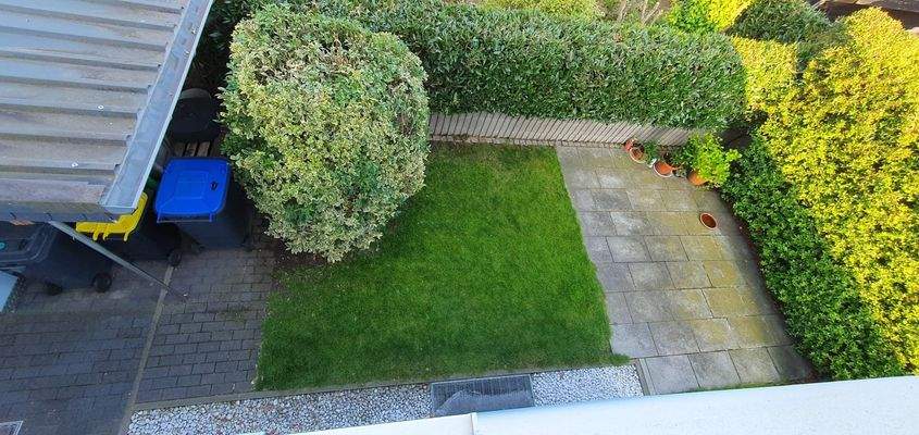 Blick in den Garten hinten