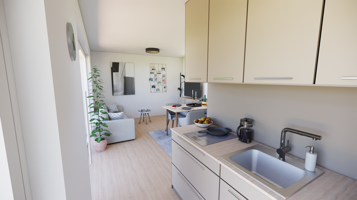 Interieur grau - Wohnen_Küche (2).png