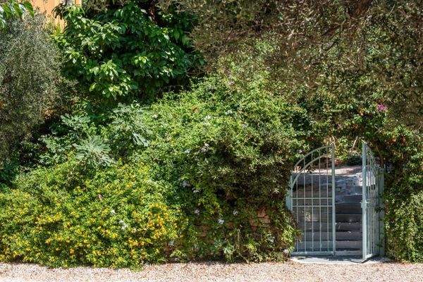 Kreta, Xamoudochori: Idyllische Residenz mit Apartments und Olivenhain zu verkaufen