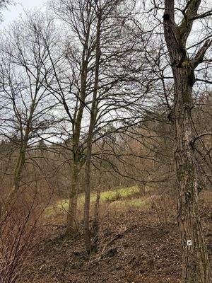 WhatsApp Image 2026-01-05 at 15.45.44 (13).jpeg