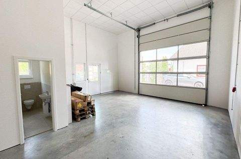 Ettlingen Halle, Ettlingen Hallenfläche