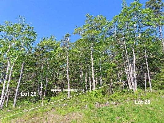 Cape Breton - 31-Hektar Areal in herrlicher Atlant