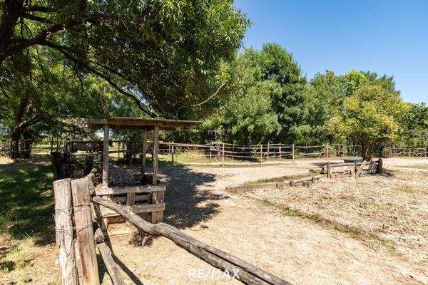 Umgebung - Reitbetrieb