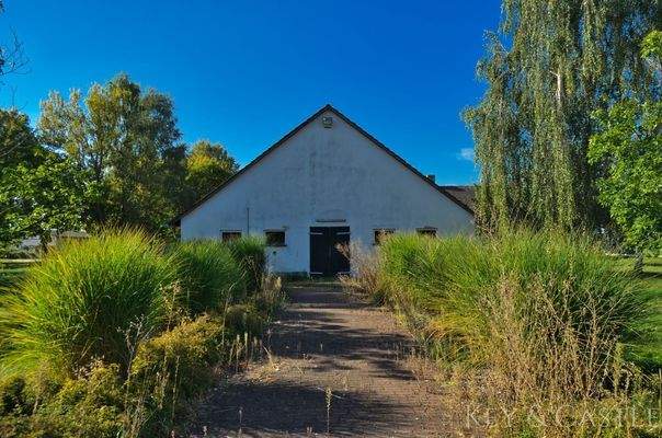 Stallgebäude ehm. Rinderstall 