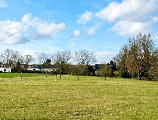 Erholungs-/Freizeitfläche im Schlosspark