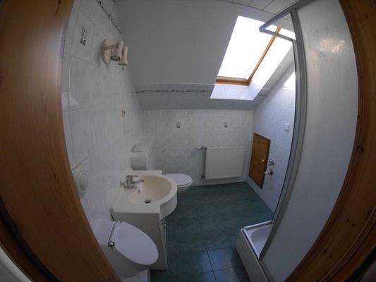 Foto T5 BFW (11).JPG