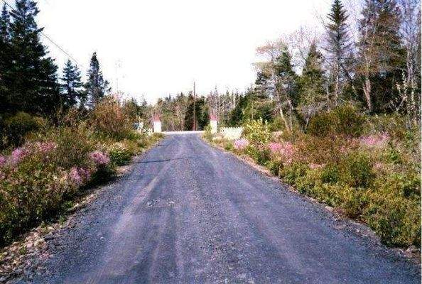 Blick zurück zur Einfahrt Parzellierung