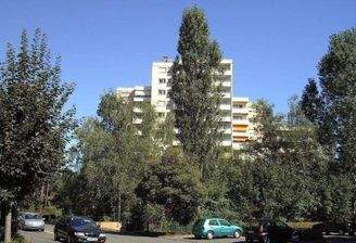 Südansicht 0221.jpg