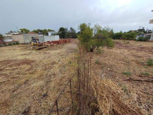 Kreta, Sternes: 2 benachbarte Grundstücke mit sehr hoher Bebauungsdichte zu verkaufen