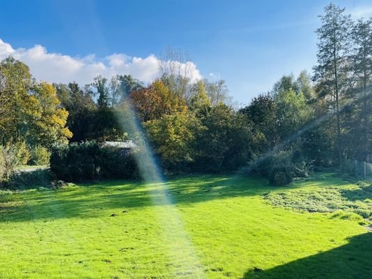 Blick in den Garten