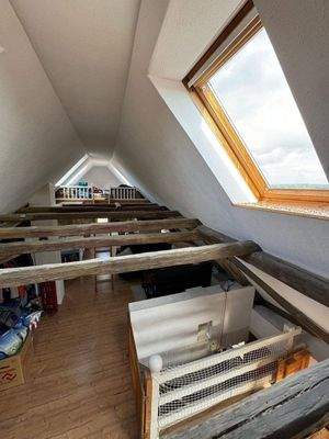 Freigelegte Balken Spitzboden