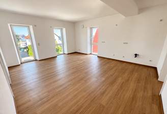 Wohnbereich mit offener Küche