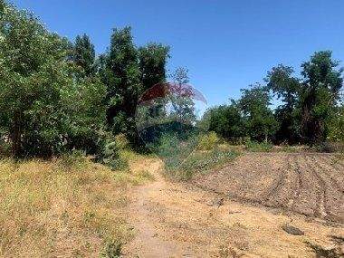 Las Cabras Büros, Büroräume, Büroflächen 