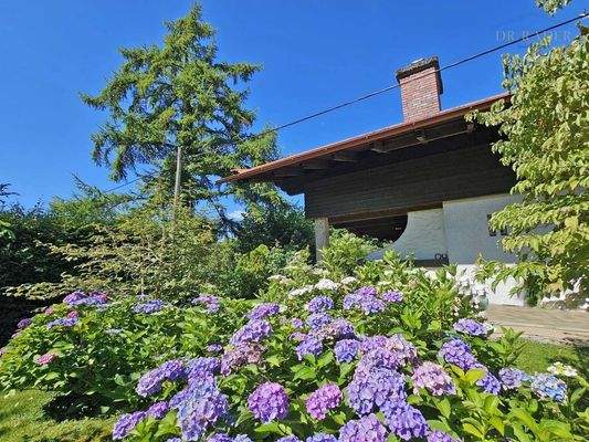 Schön angelegte Grünflächen rund ums Haus