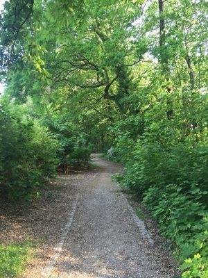 kleiner Park hinterm Haus