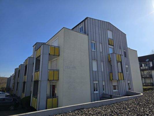 PHOTO-2026-03-06-12-04-33 4