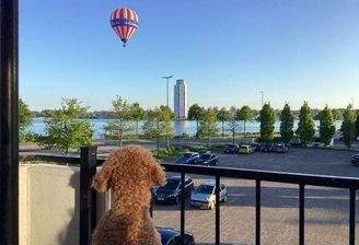 Südwest Balkon mit Schleiblick
