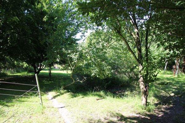 Großer Garten mit Obstbäumen & Platz für Tierhaltung