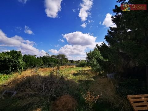 Sollenau Grundstücke, Sollenau Grundstück kaufen