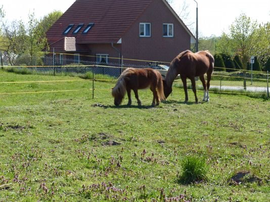 Grundstück