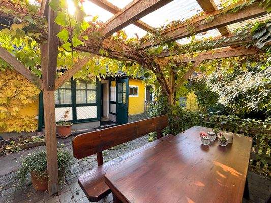 Garten im hinteren Bereich