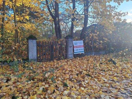 Blick auf das Grundstück