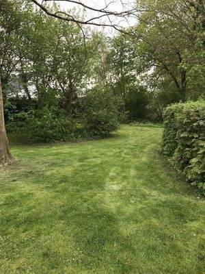 Blick durch den Garten