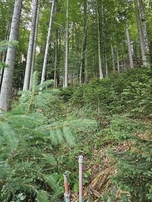 20230912_094955 (Copy)