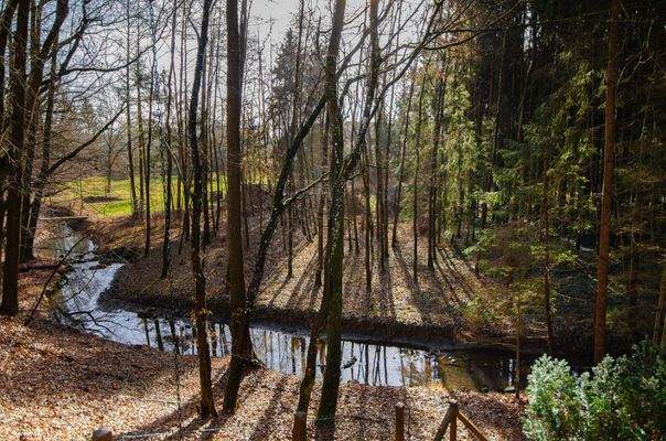 Bachlauf im südlichen Grundstücksbereich