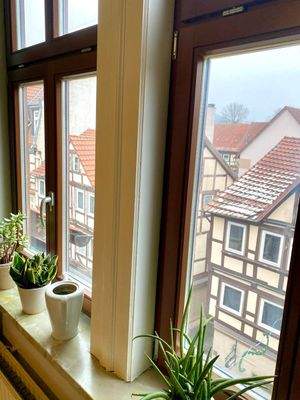 Ein Blick nach Draußen