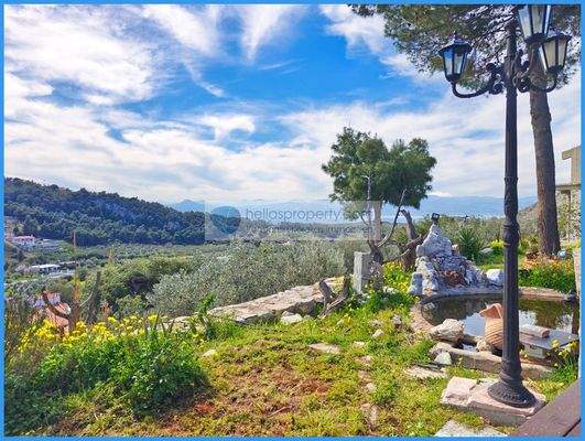 84b7f031371b4430bedacac91623944b-original