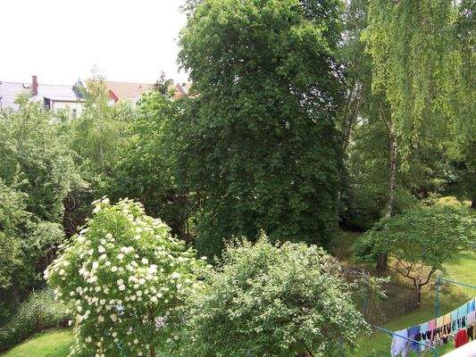 Blick in  den Gartenbereich