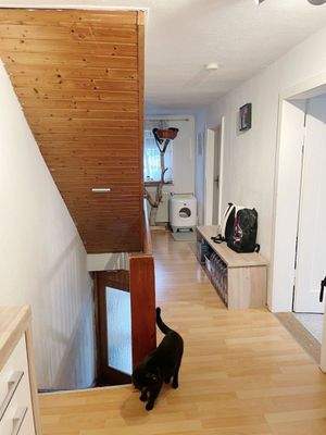 3-Zi. Whg. 1.OG+DG Ost