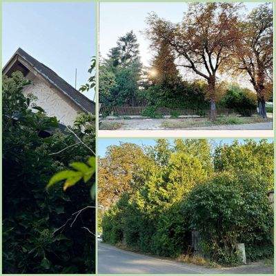 Eigentümer beräumt das Grundstück