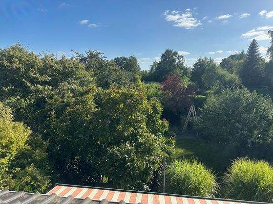 Blick in den Garten.jpg