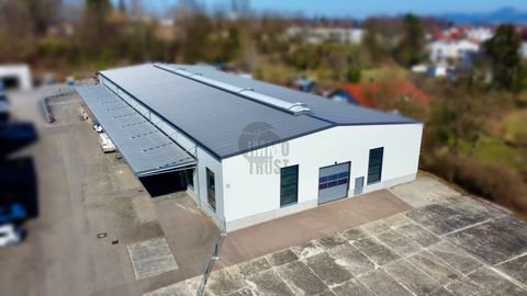Heiningen Halle, Heiningen Hallenfläche