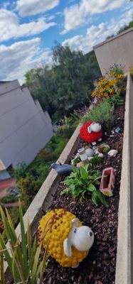 Balkon 20250912_150519.jpg