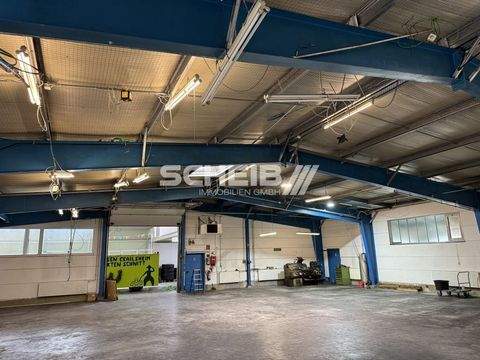 Crailsheim Halle, Crailsheim Hallenfläche