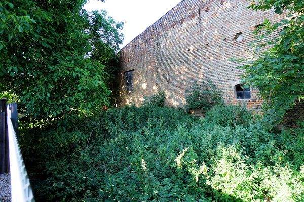 Blick in den Gartenbereich (5).jpg