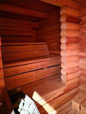 Sauna III