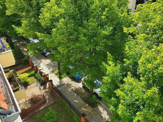 Ausblick Straße.jpg