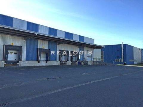 BERGKAMEN Halle, BERGKAMEN Hallenfläche