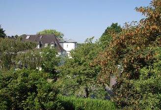 DSC_0010.JPG