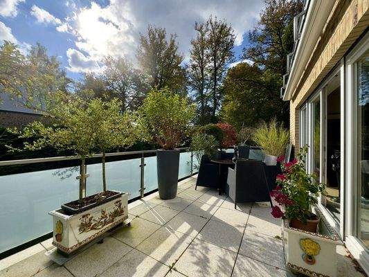 Blick in den alten Baumbestand