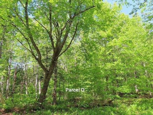 Cape Breton - Traumhaft schöne Naturlage am Middle