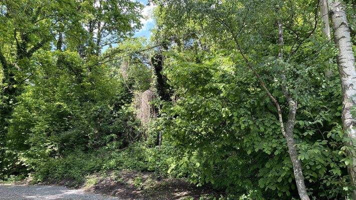 untere Grundstücksgrenze