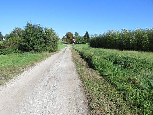 geschotterte, eigene Zufahrt 