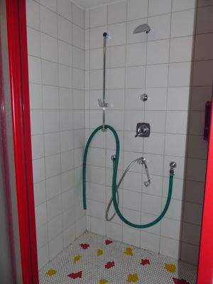 Sauna mit begehbarem Duschraum und WC