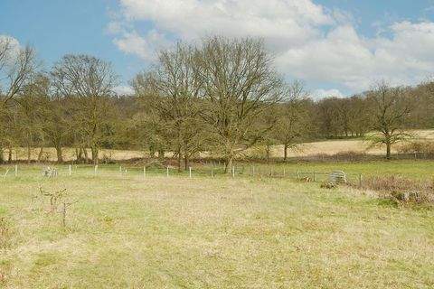 Steinhagen, Westfalen Grundstücke, Steinhagen, Westfalen Grundstück kaufen